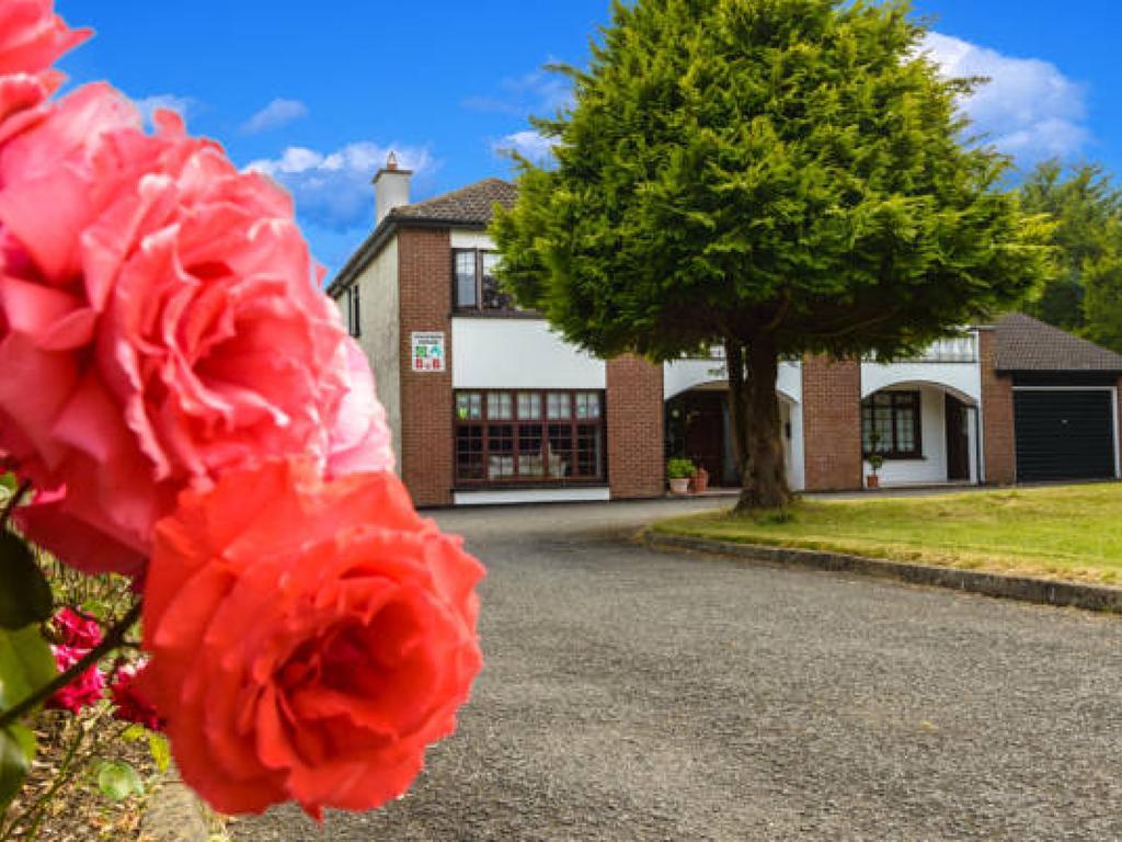 Killowen House B&B 드로이다 외부 사진
